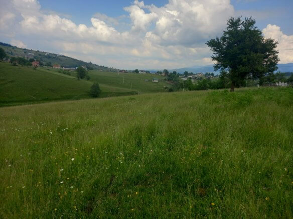 Grundstück in Rožaje zum Kauf – Ro25