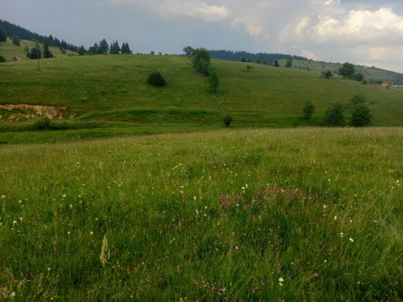 Grundstück in Rožaje zum Kauf – Ro25