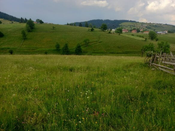 Grundstück in Rožaje zum Kauf – Ro25