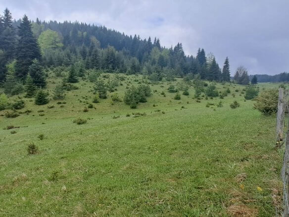 Участок мечты в Рожае на продажу – Ro28