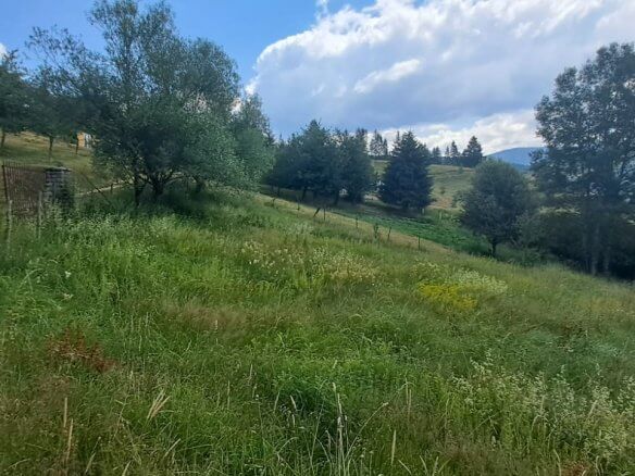 Grundstück in Grahovo (Rožaje) zum Kauf – Ro26