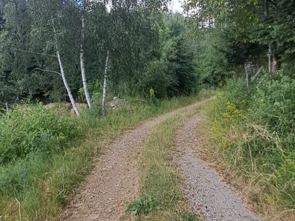 Grundstück in Grahovo (Rožaje) zum Kauf – Ro26