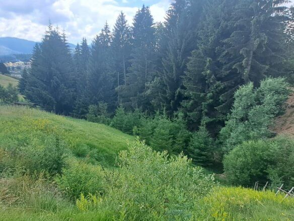 Grundstück in Grahovo (Rožaje) zum Kauf – Ro26