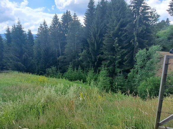 Grundstück in Grahovo (Rožaje) zum Kauf – Ro26