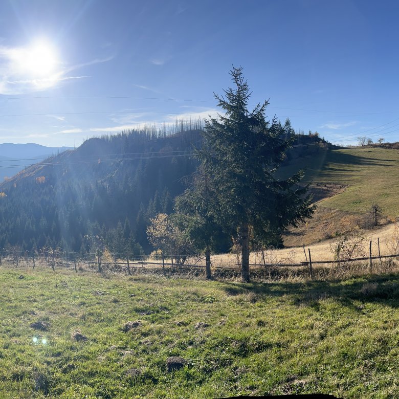 Ein Ausflug nach Rožaje – Halloween mal anders!