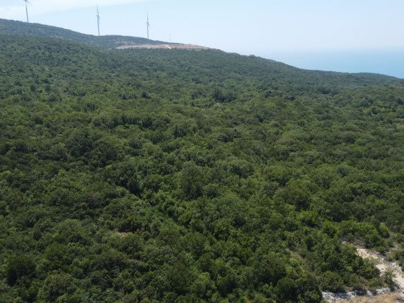 Spacious natural lot with a stunning ocean view in Kunje – Municipality of Bar – K24