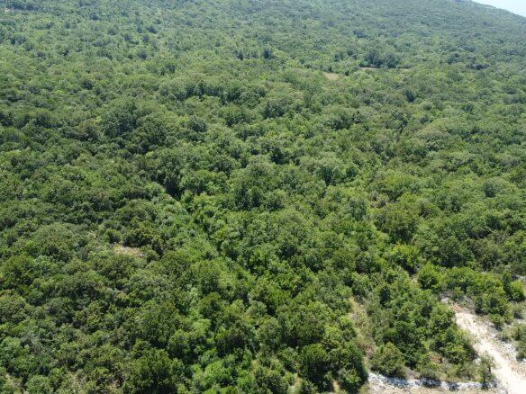 Spacious natural lot with a stunning ocean view in Kunje – Municipality of Bar – K24