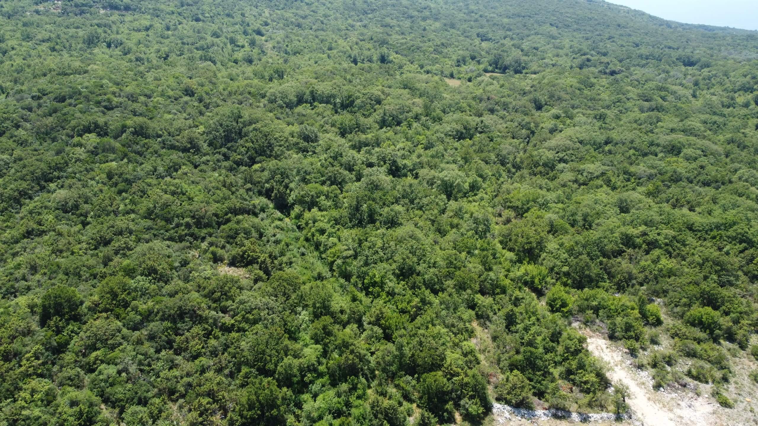 Großzügiges Naturgrundstück mit traumhaftem Meerblick in Kunje – Gemeinde Bar – K24