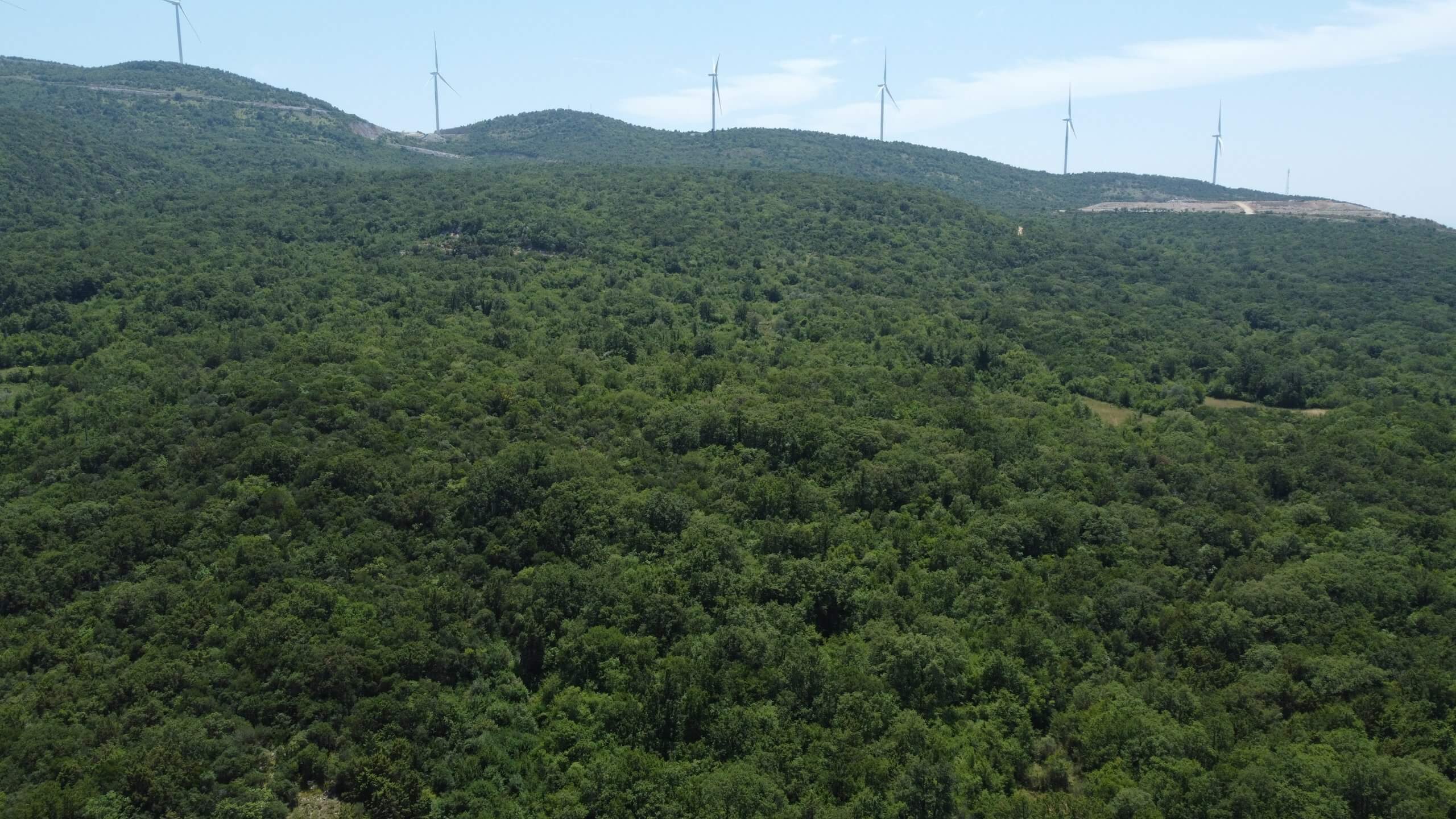 Großzügiges Naturgrundstück mit traumhaftem Meerblick in Kunje – Gemeinde Bar – K24