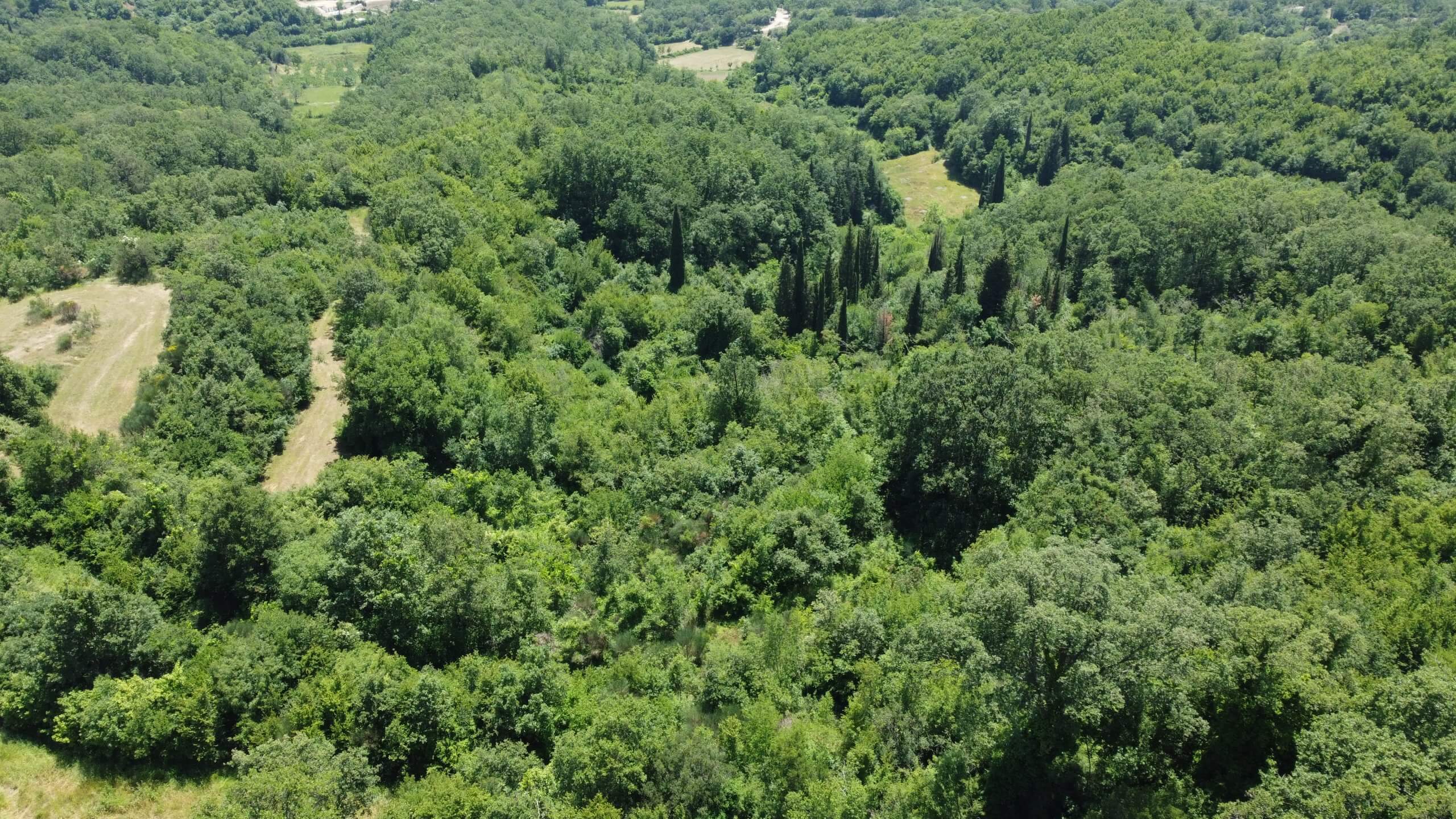 Großzügiges Naturgrundstück mit Meer- und Bergblick in Kunje – Gemeinde Bar – K23