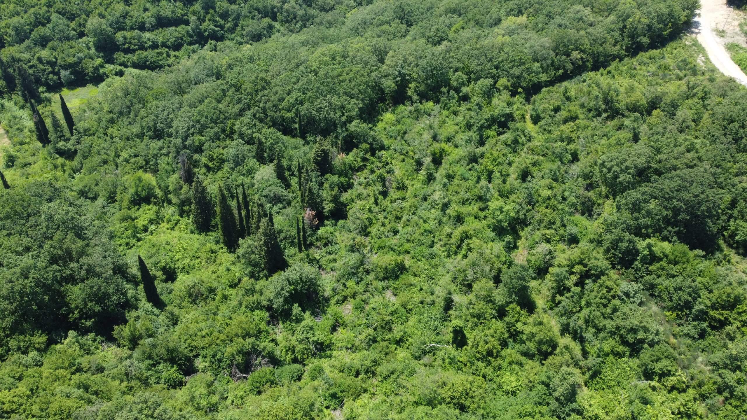 Großzügiges Naturgrundstück mit Meer- und Bergblick in Kunje – Gemeinde Bar – K23