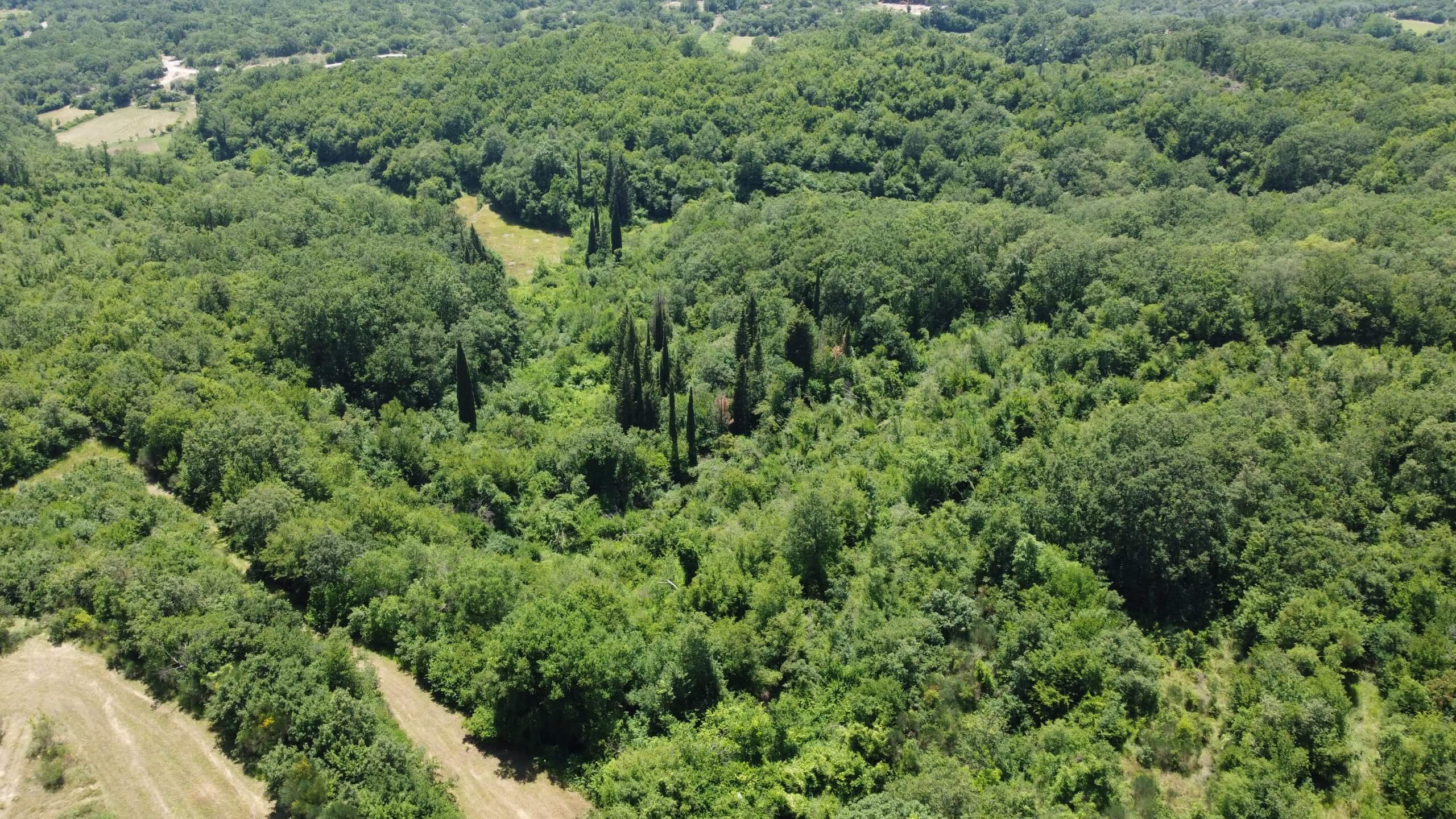Großzügiges Naturgrundstück mit Meer- und Bergblick in Kunje – Gemeinde Bar – K23