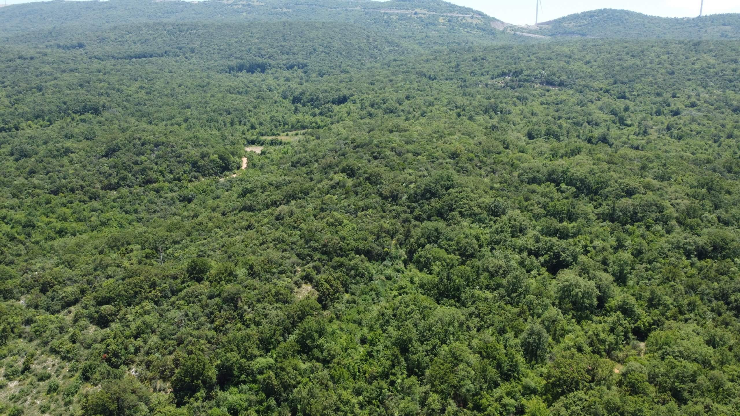 Großzügiges Naturgrundstück mit traumhaftem Meerblick in Kunje – Gemeinde Bar – K24