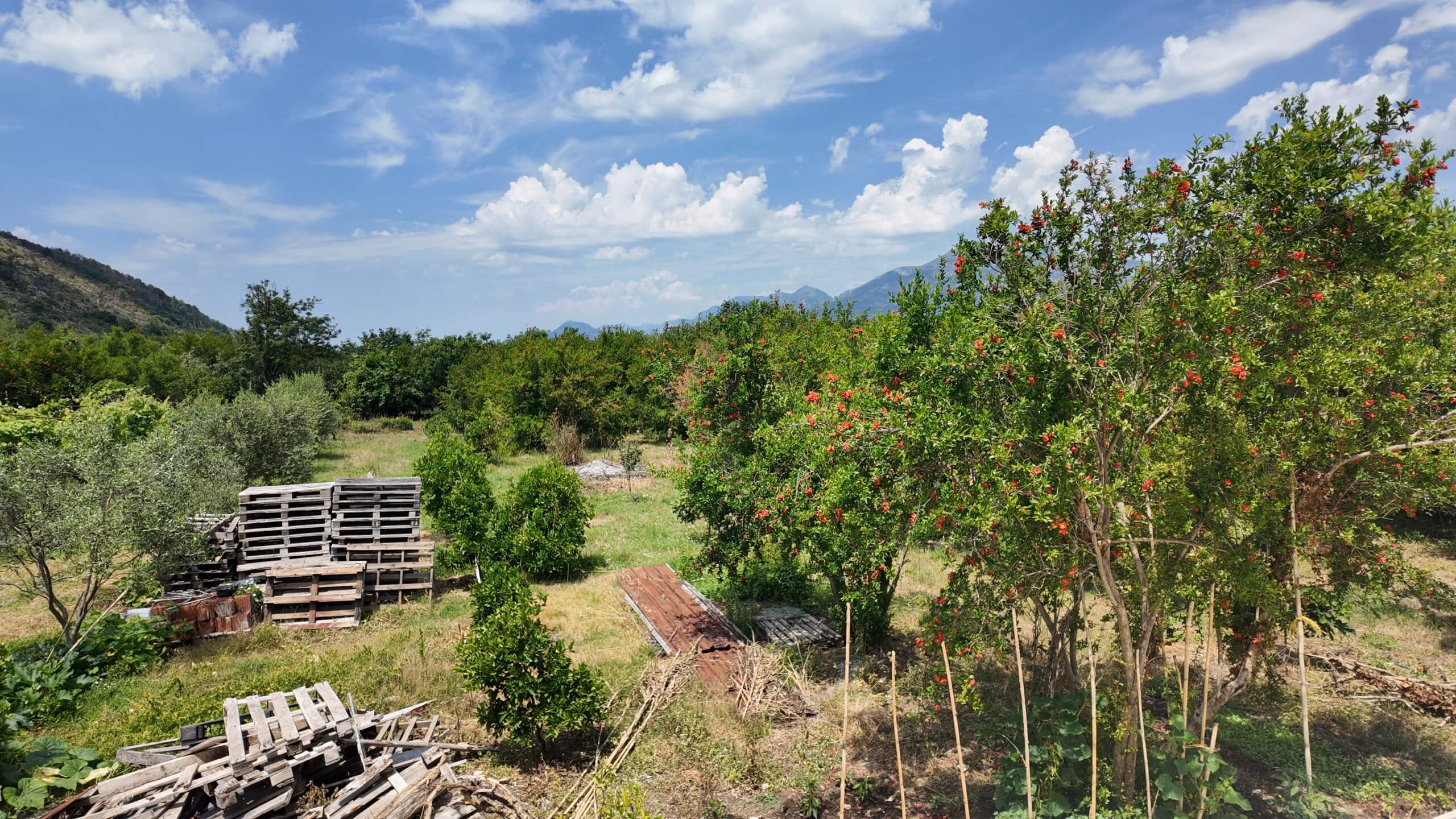 Großzügige Mietwohnung mit Bergblick in Zaljevo/Bar – MB110