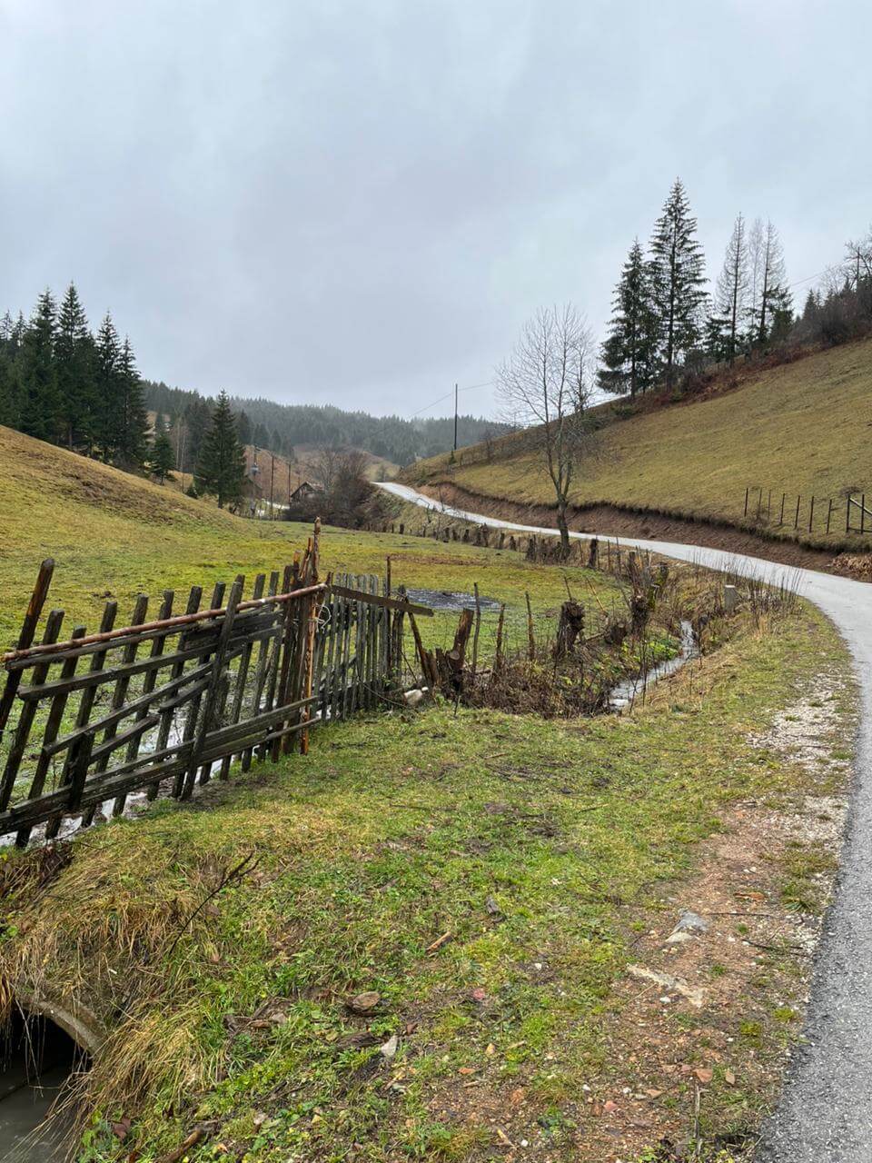 Naturgrundstück mit großem Potenzial – 1,5 Hektar in Rožaje – Ro29