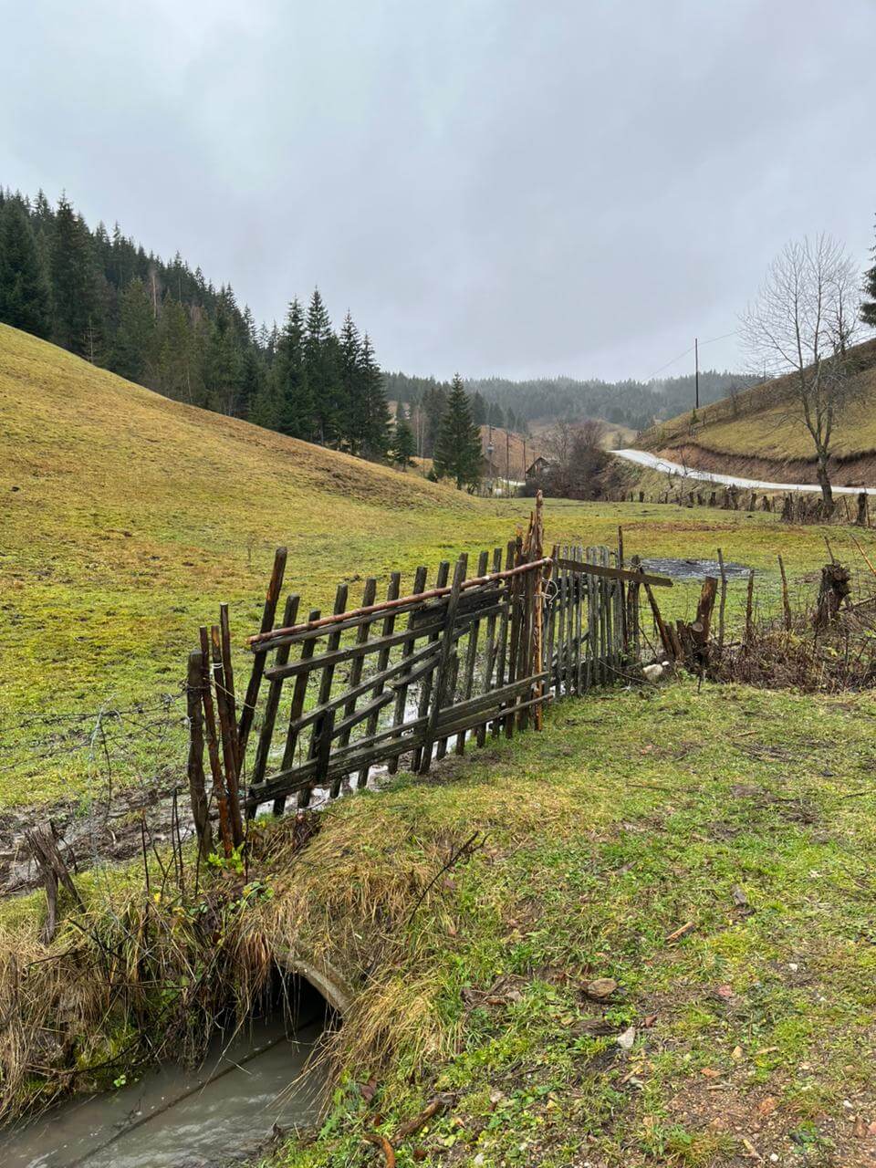 Naturgrundstück mit großem Potenzial – 1,5 Hektar in Rožaje – Ro29
