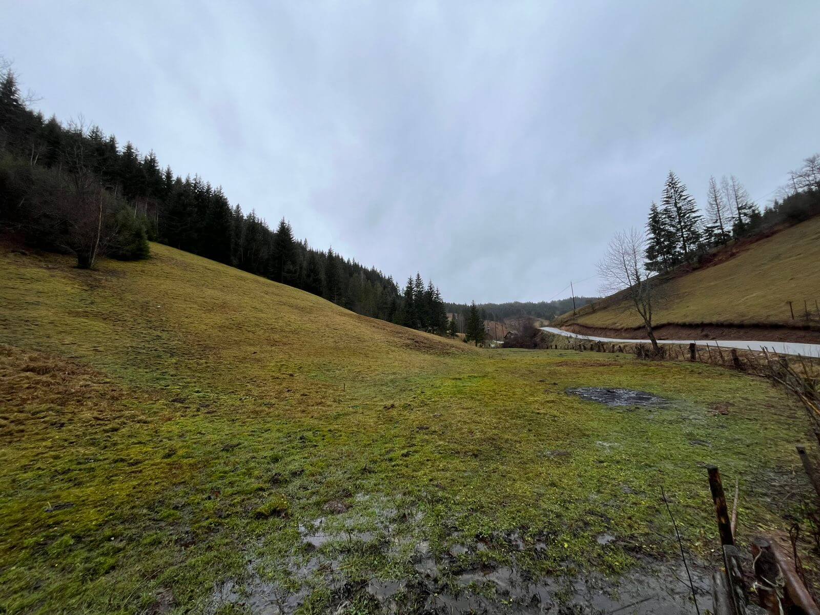 Naturgrundstück mit großem Potenzial – 1,5 Hektar in Rožaje – Ro29