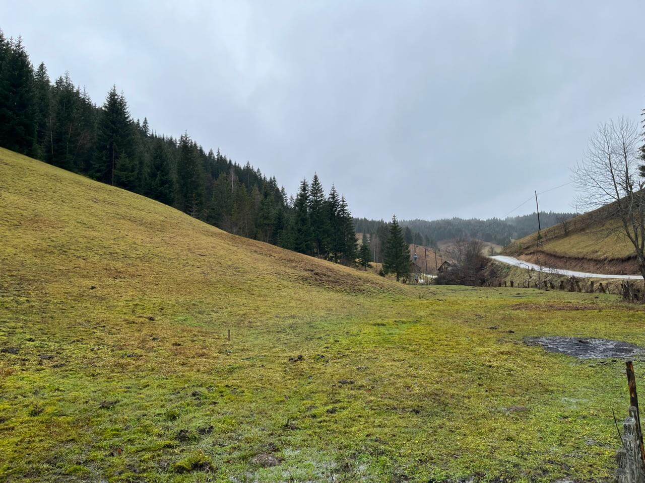 Naturgrundstück mit großem Potenzial – 1,5 Hektar in Rožaje – Ro29