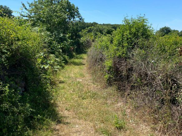 Property for Sale in Velja Gorana/Bar – Go3
