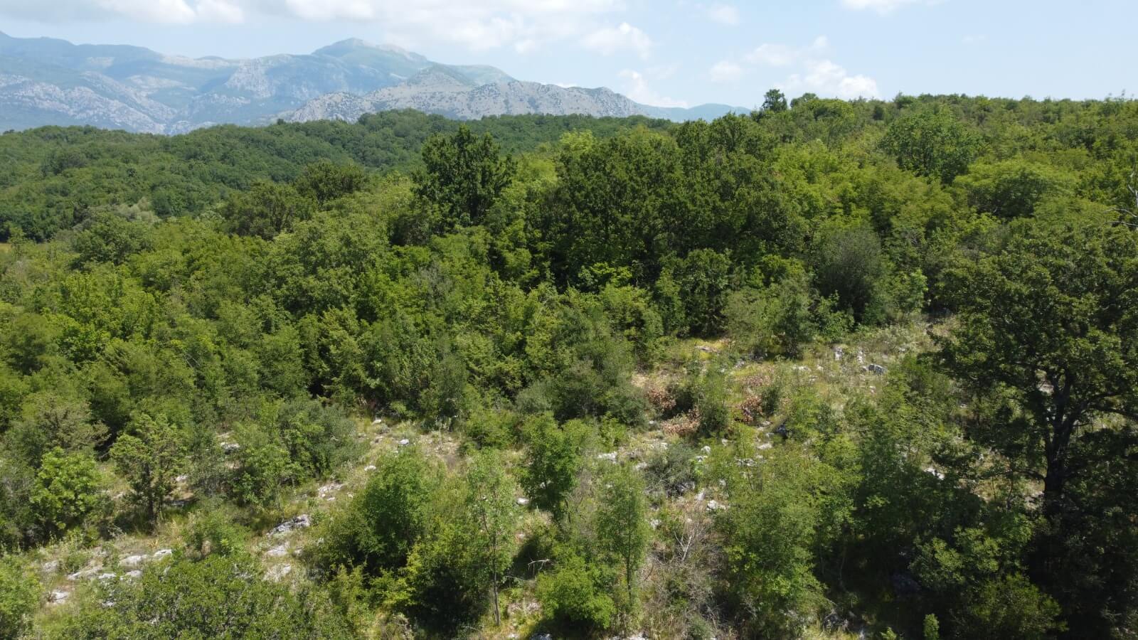 Ruhig gelegenes Grundstück mit urbanisiertem Bauland in Velja Gorana – Natur, Privatsphäre und Entwicklungspotenzial – Go4