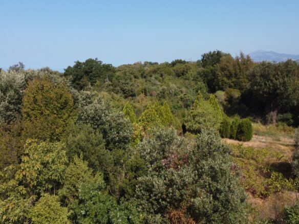 Urbanisiertes Grundstück mit Meer- und Bergblick in Kunje bei Bar