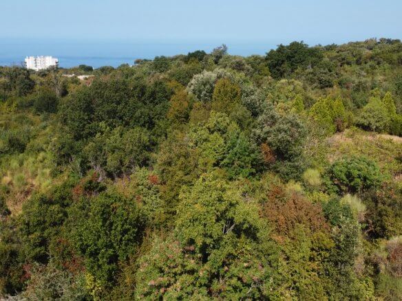 Urbanisiertes Grundstück mit Meer- und Bergblick in Kunje bei Bar