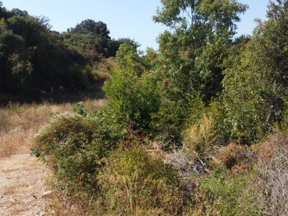 Urbanisiertes Grundstück mit Meer- und Bergblick in Kunje bei Bar
