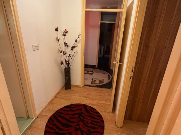 Möblierte 2-Schlafzimmer-Wohnung mit zwei Terrassen in Podgorica/ Stari Aerodrom zur Miete – MP2