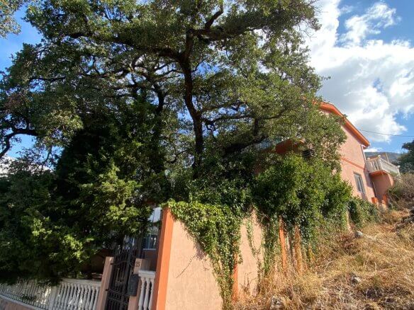 Schöne Villa mit Einliegerwohnung und Traum-Meerblick in Ratac/Bar zum Kauf – BHK142