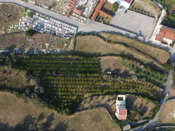 Großzügiges Grundstück mit Meerblick in Dobra Voda – DV68