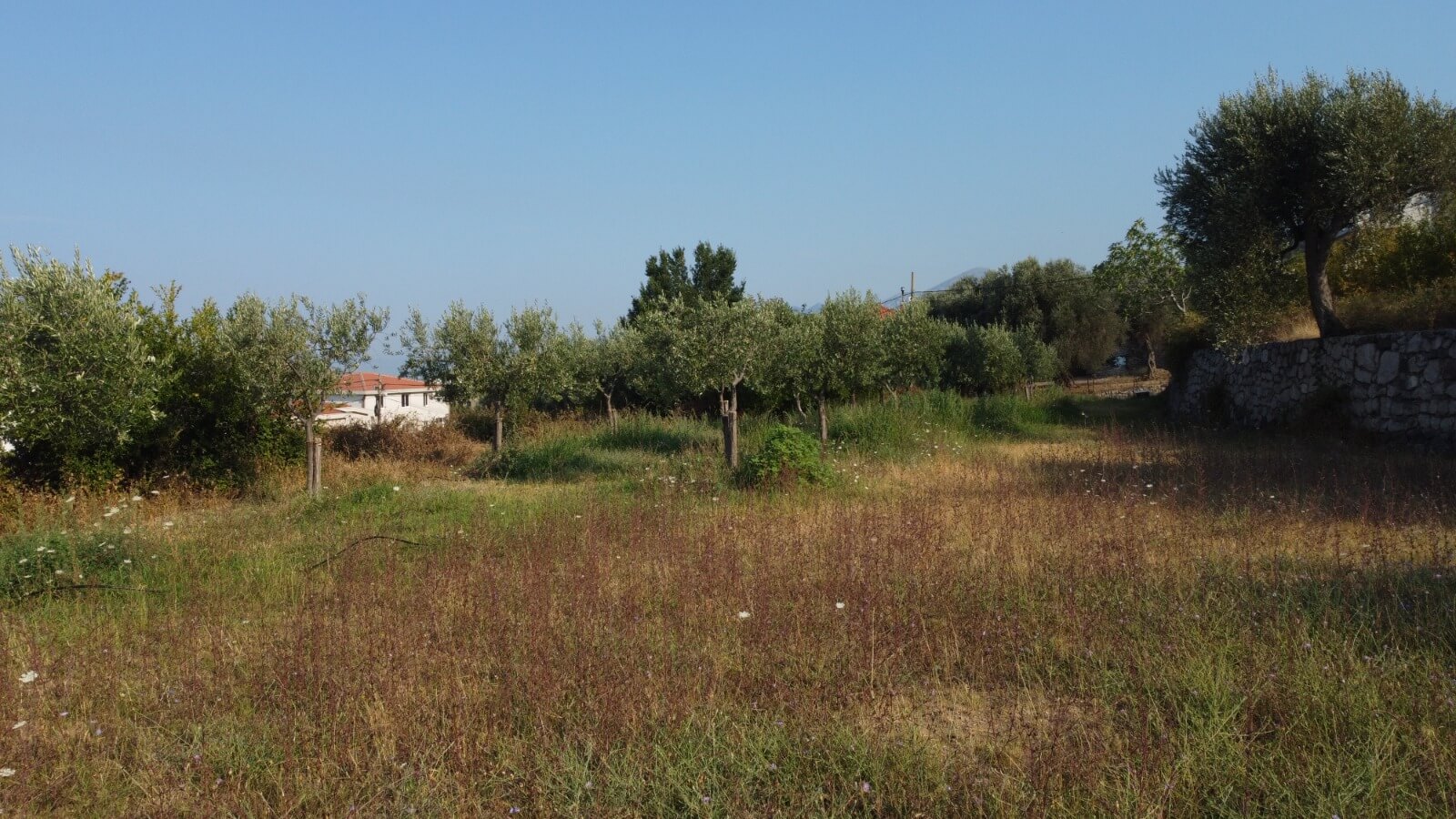 Großzügiges Grundstück mit Meerblick in Dobra Voda – DV68