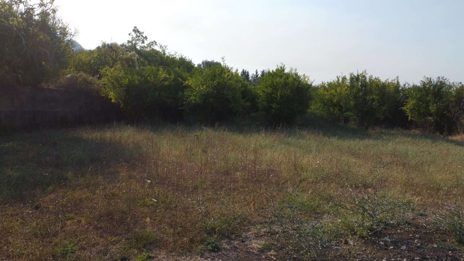 Großzügiges Grundstück mit Meerblick in Dobra Voda – DV68