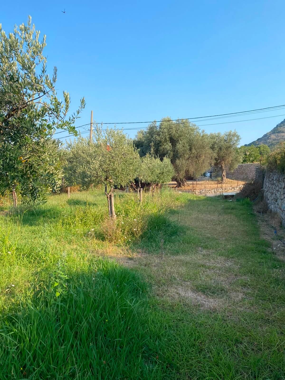 Großzügiges Grundstück mit Meerblick in Dobra Voda – DV68