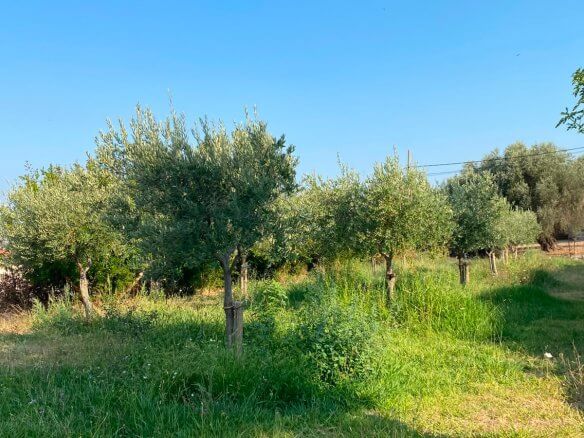 Großzügiges Grundstück mit Meerblick in Dobra Voda – DV68