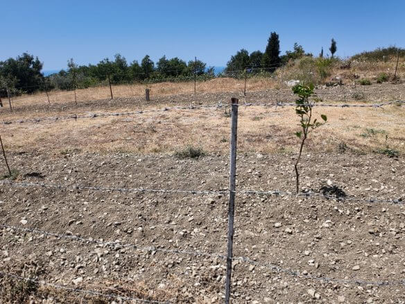 Grundstück mit Meerblick in Dobra Voda zum Kauf – DV69