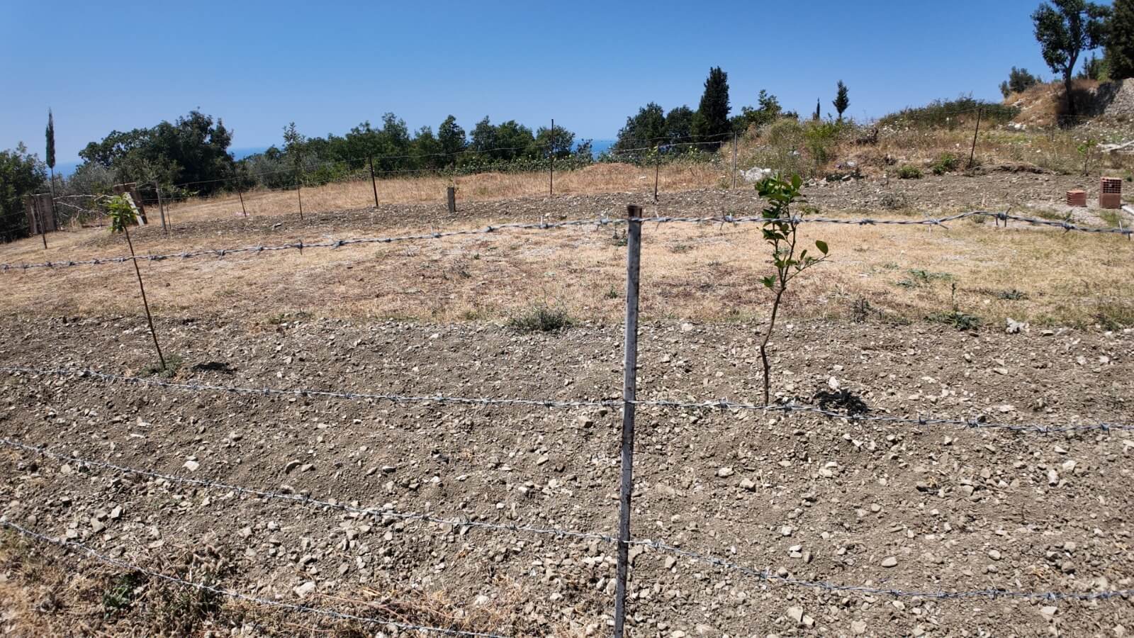 Grundstück mit Meerblick in Dobra Voda zum Kauf – DV69
