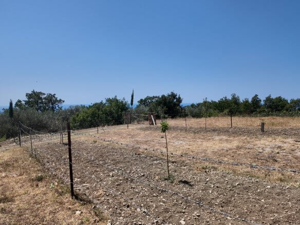 Grundstück mit Meerblick in Dobra Voda zum Kauf – DV69