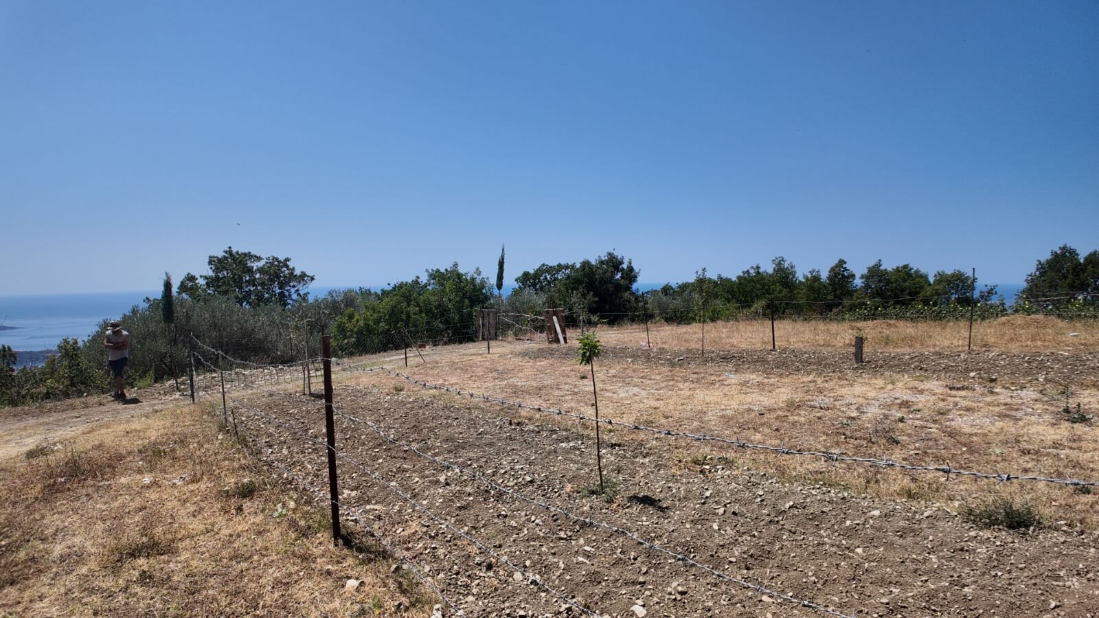 Grundstück mit Meerblick in Dobra Voda zum Kauf – DV69