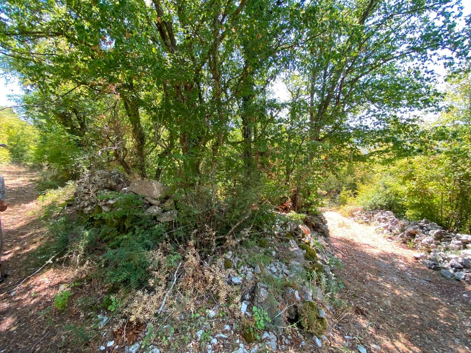 Großes Naturgrundstück mit Bergblick in Gorana/ Bar zum Kauf – Go5