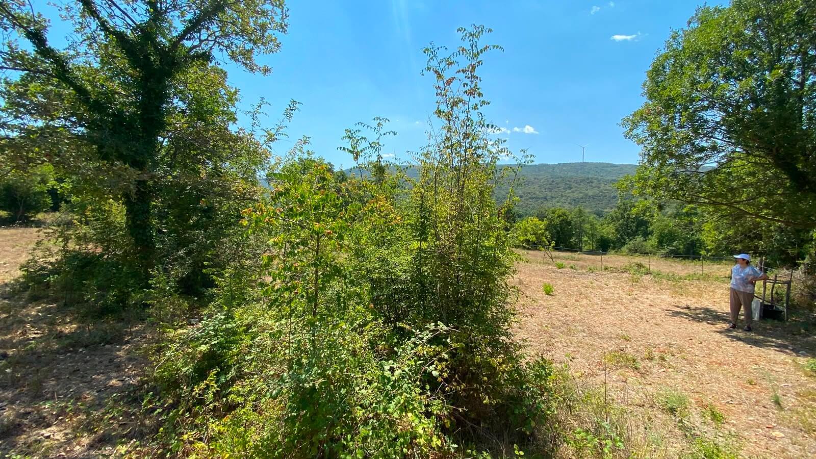 Großes Naturgrundstück mit Bergblick in Gorana/ Bar zum Kauf – Go5