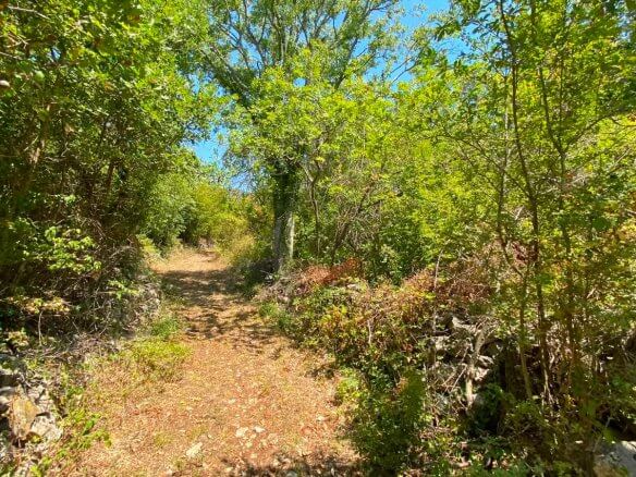 Großes Naturgrundstück mit Bergblick in Gorana/ Bar zum Kauf – Go5