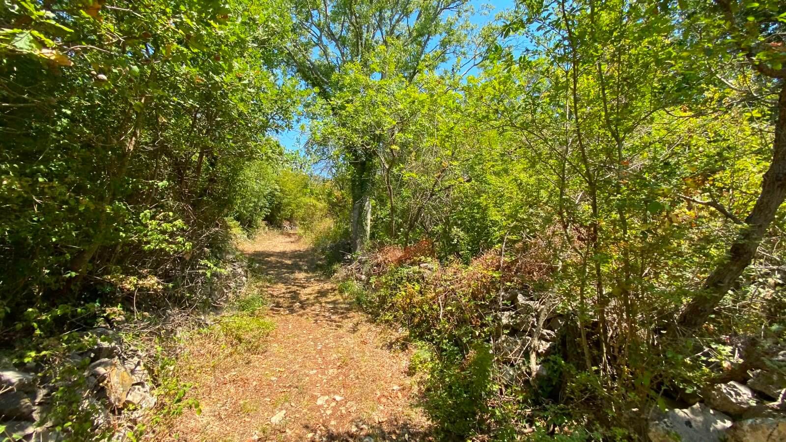 Großes Naturgrundstück mit Bergblick in Gorana/ Bar zum Kauf – Go5
