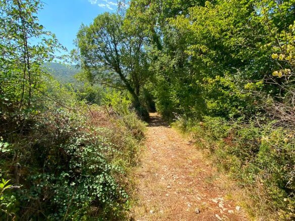 Großes Naturgrundstück mit Bergblick in Gorana/ Bar zum Kauf – Go5