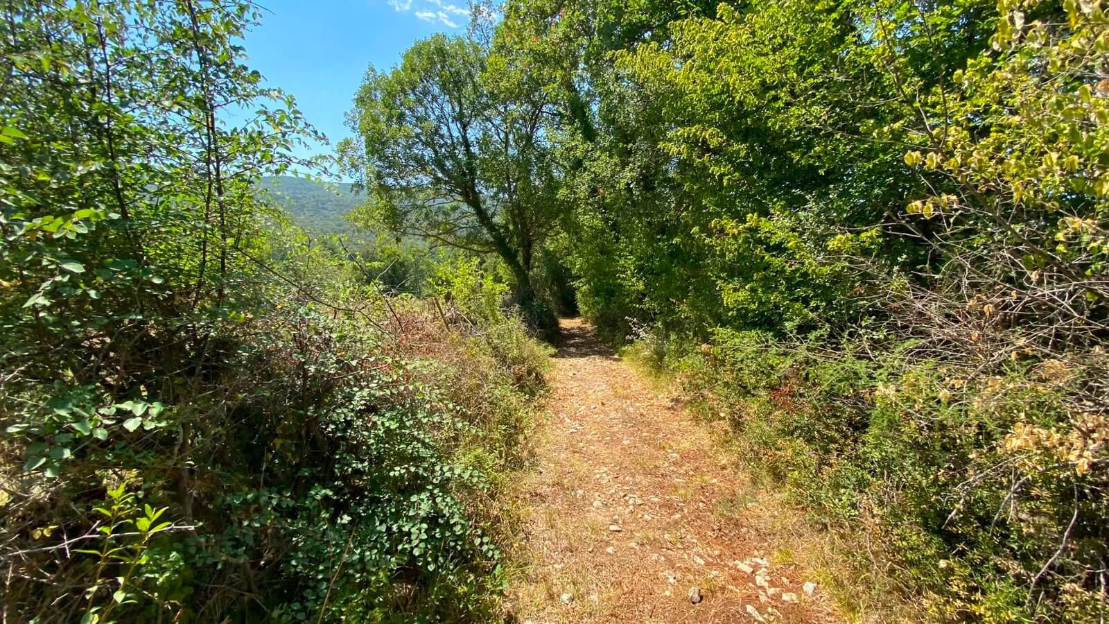Großes Naturgrundstück mit Bergblick in Gorana/ Bar zum Kauf – Go5