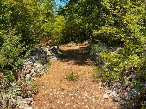 Großes Naturgrundstück mit Bergblick in Gorana/ Bar zum Kauf – Go5