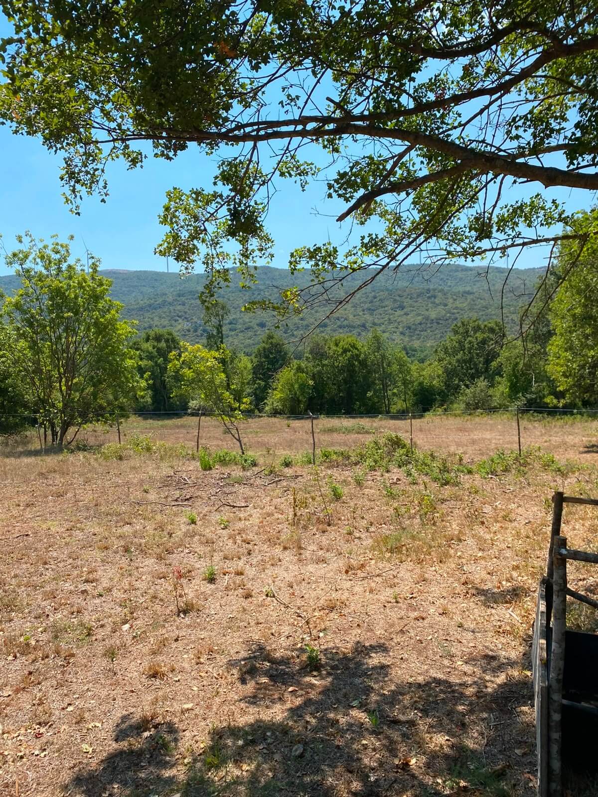 Großes Naturgrundstück mit Bergblick in Gorana/ Bar zum Kauf – Go5