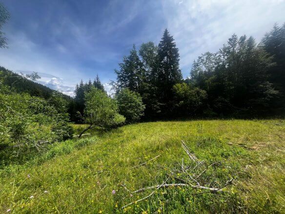 Grundstück in Rožaje zum Kauf – Ro32