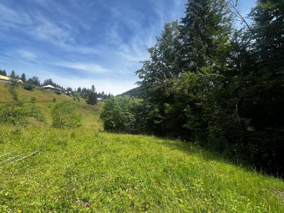Grundstück in Rožaje zum Kauf – Ro32