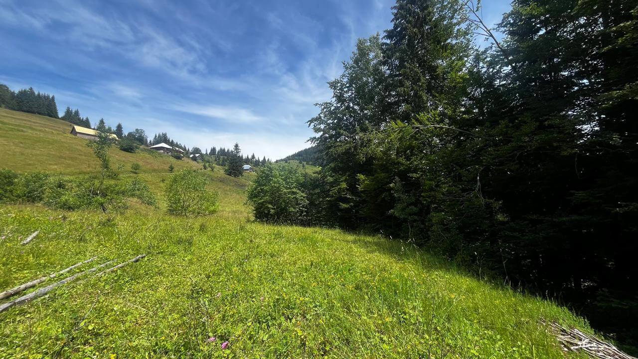Grundstück in Rožaje zum Kauf – Ro32