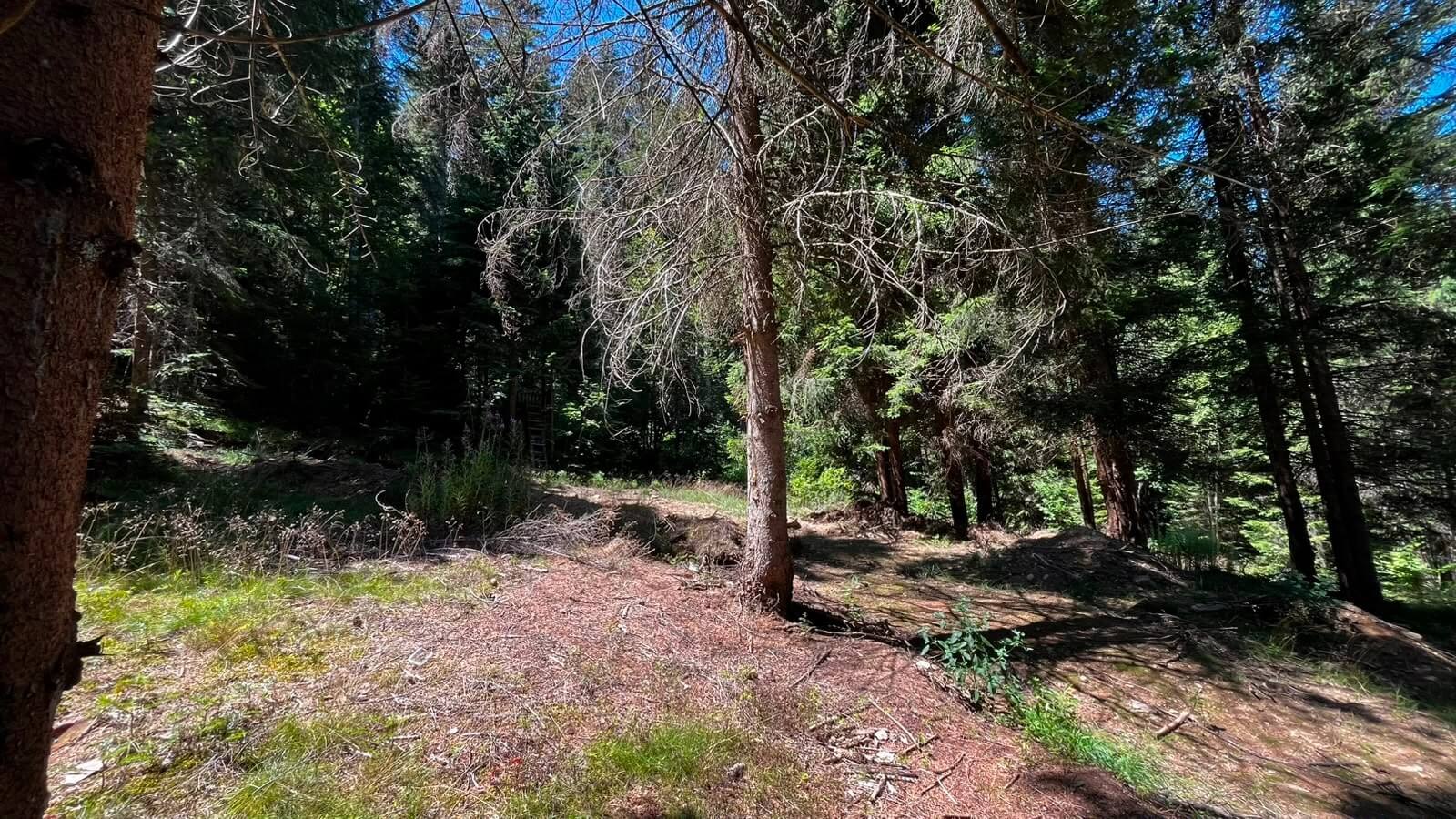 Großes Naturgrundstück mit Waldanteil bei Rožaje mit Bergblick zum Kauf – Ro30